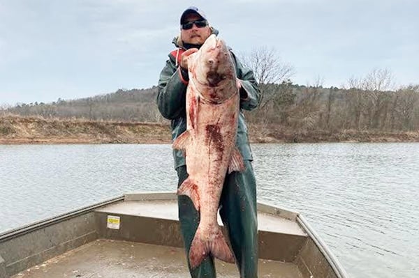 Effort to block invasive carp into Lake Michigan gets blocked by politics – Outdoor News