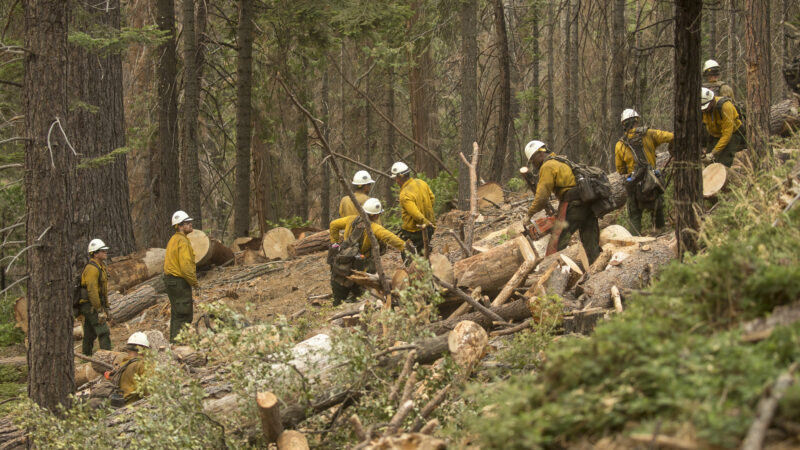 Feds Fire 4,400+ Public-Land Employees, Including Forest Service Workers, National Park Staff