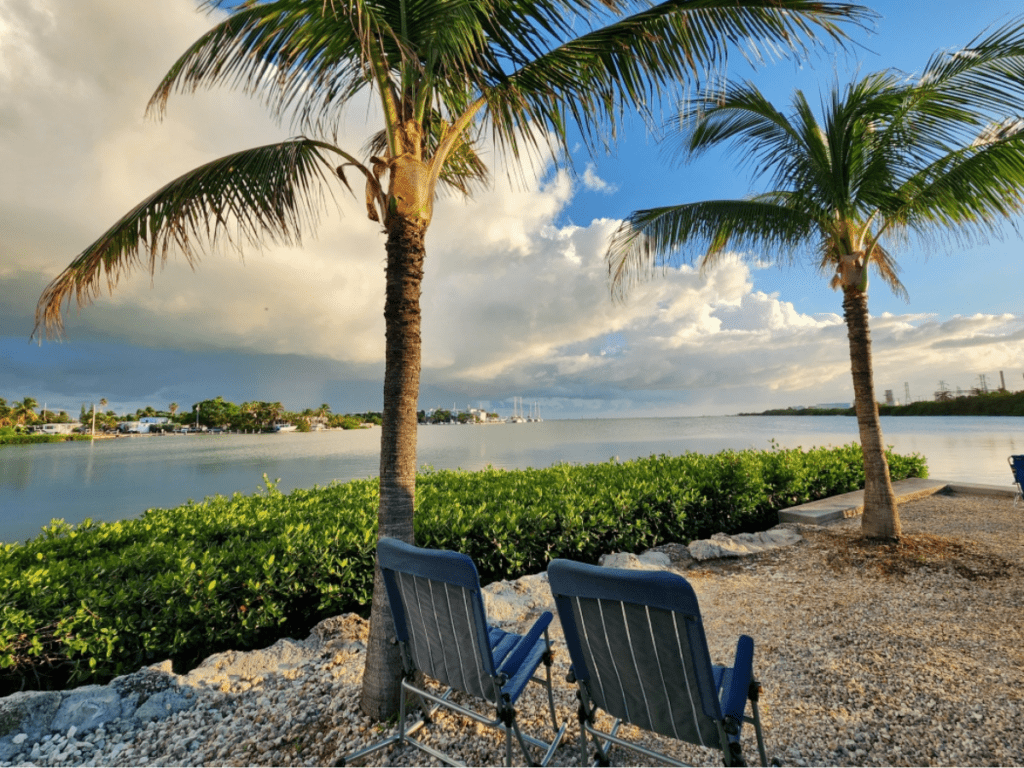 Two chairs underneath a palm tree overlook the water in Key West, Florida. 