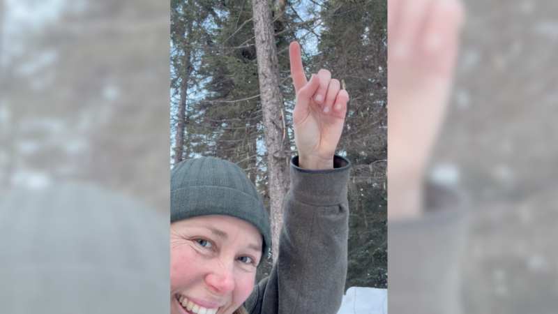 ‘Hello Beautiful’: Woman Spots Mountain Lion Staring at Her From Tree