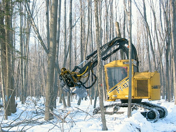 Here’s how to manage a timber sale on your land – Outdoor News