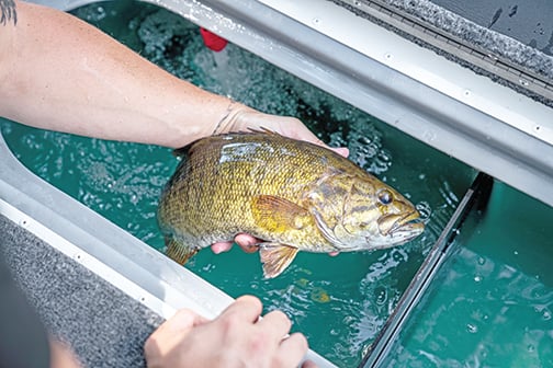 Here’s what’s on tap for the biggest national bass tournaments in 2025 – Outdoor News