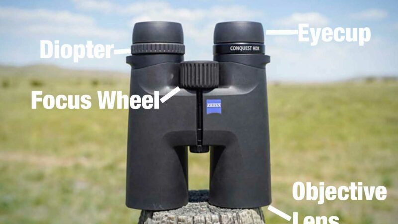 How to Adjust Binoculars Properly