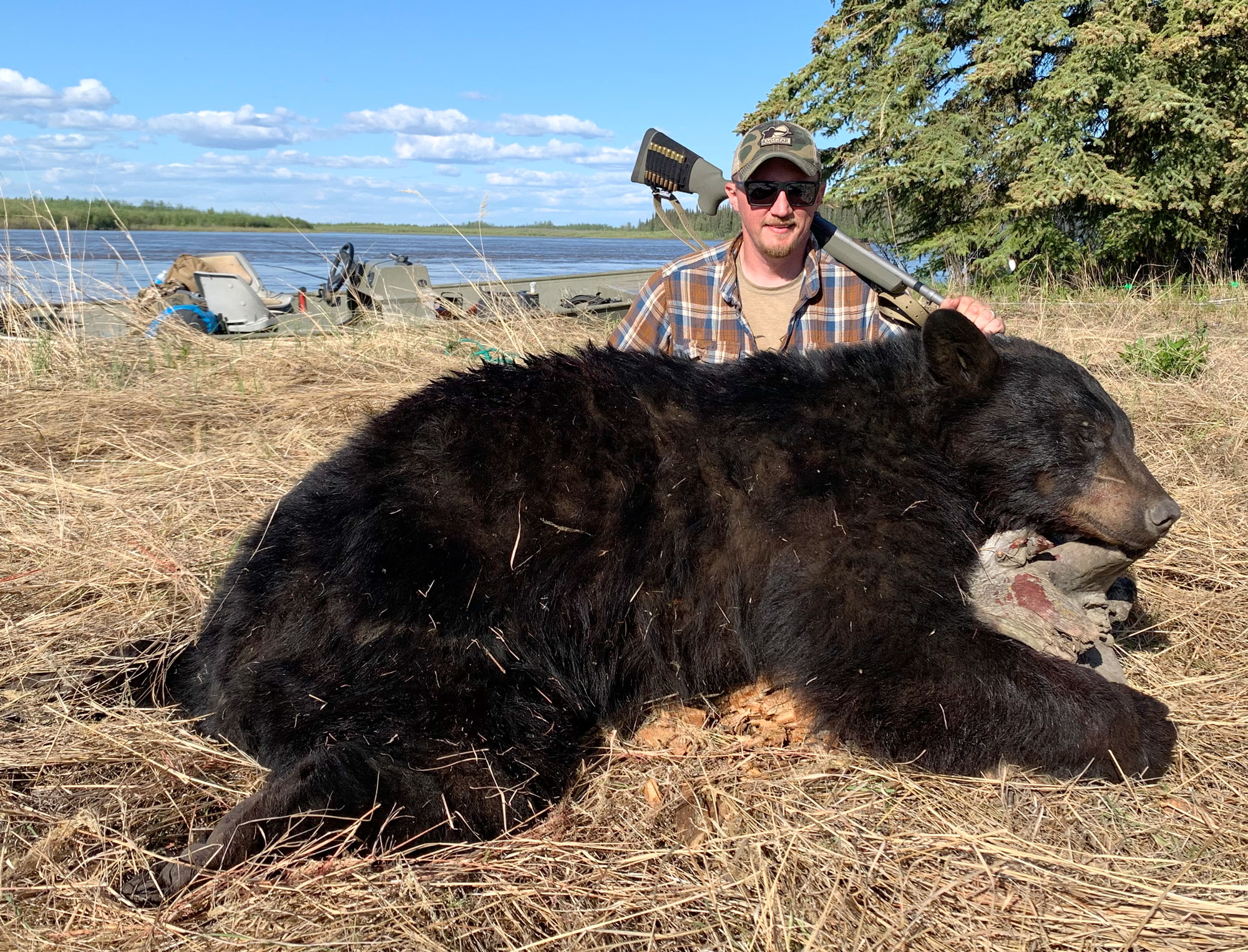 Iron sights and black bear