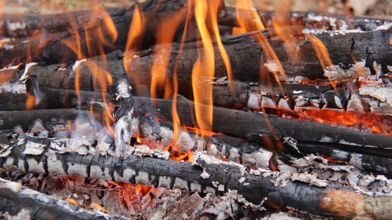 How to Start a Fire: The Ultimate Guide to Modern Fire Building