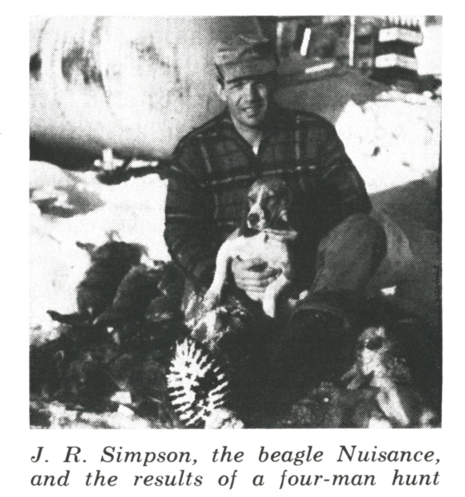 A photograph of a rabbit hunter with his beagle and a bag of rabbits