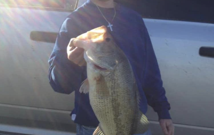 ‘I Knew We Had to Get Him Out.’ Tourney Fishermen Rescue Elderly Man Trapped Inside Sinking Car