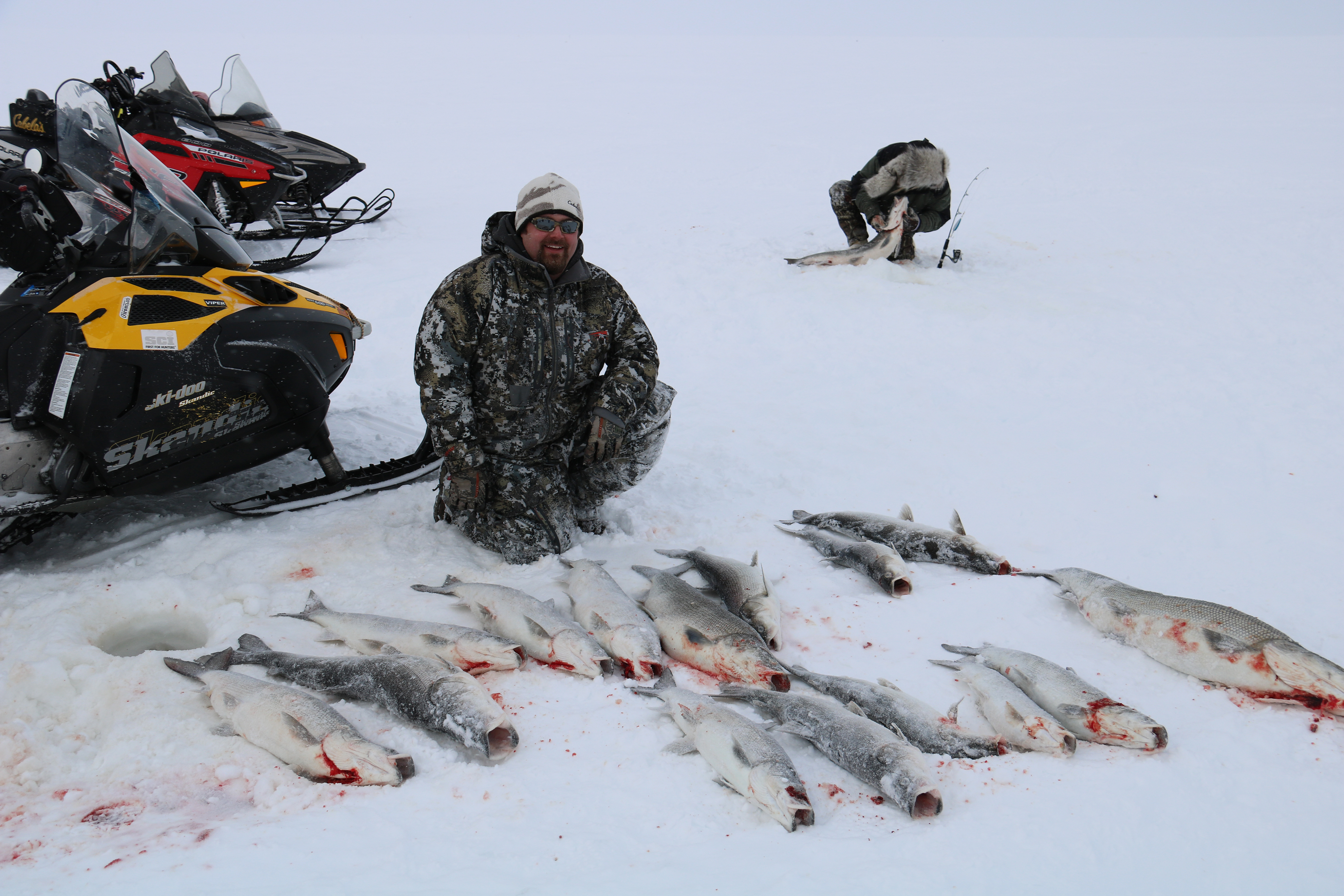 ice fishing sheefish