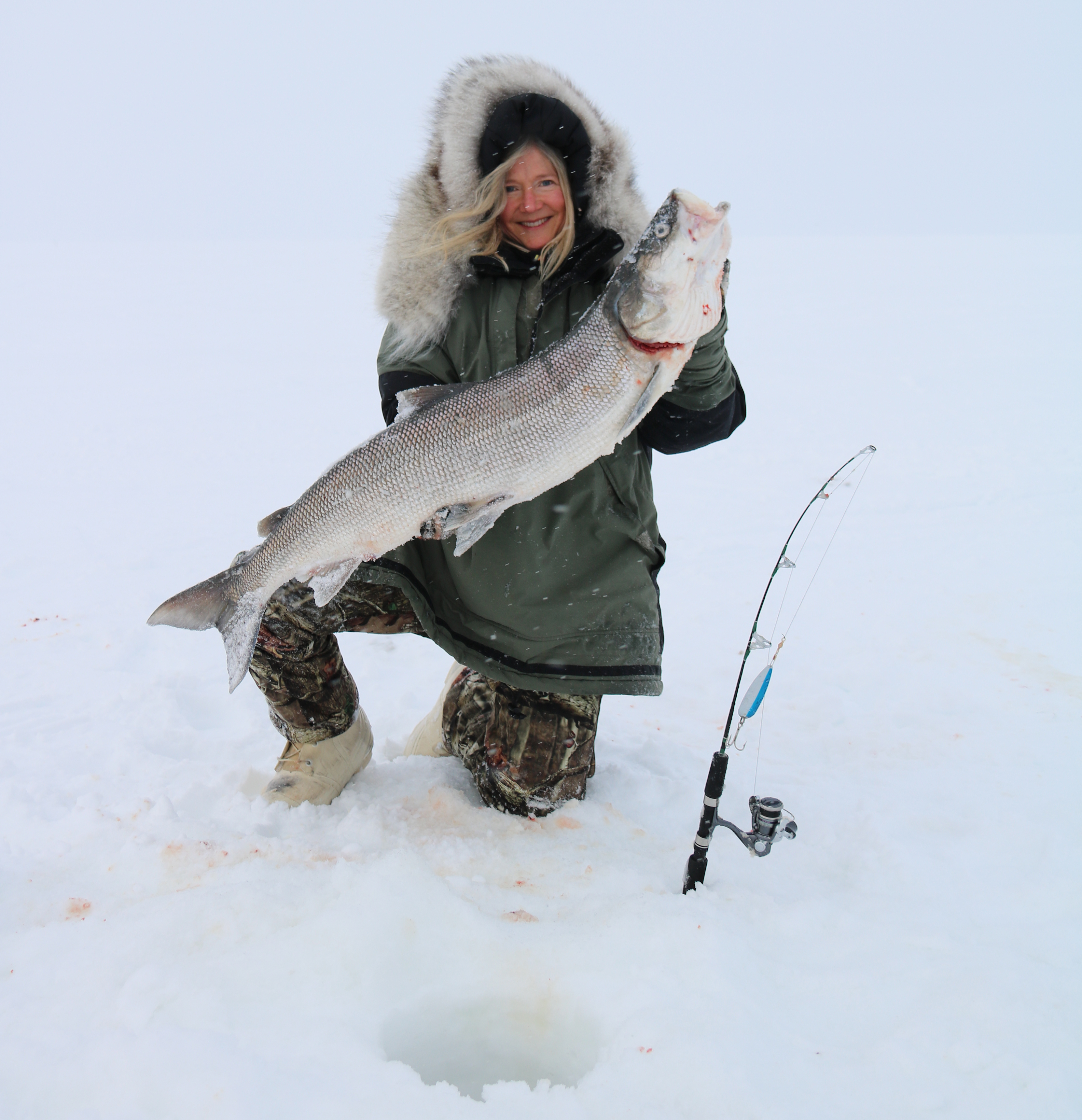 sheefish fishing