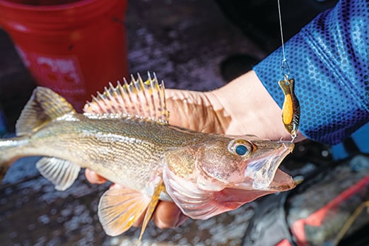 Ice still hanging on for Ohio anglers off Lake Erie’s islands – Outdoor News