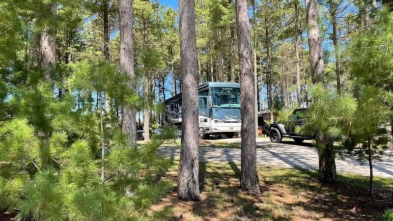 Lake Michigan Camping at Scheffel’s Hideaway Campground