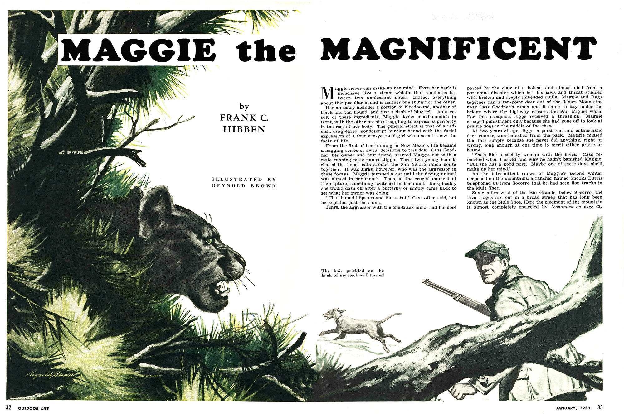 Maggie the magnificent, a story about a lion hound dog.