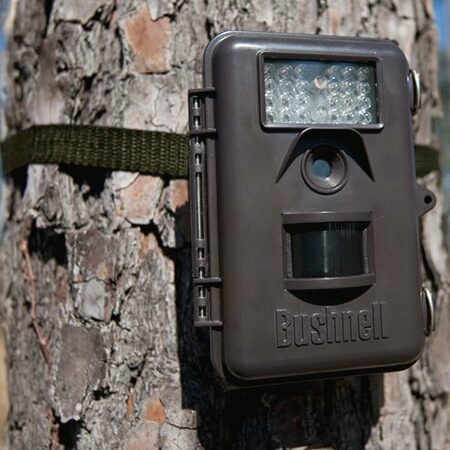 Mike Raykovicz: Care for trail cams to prolong their life – Outdoor News