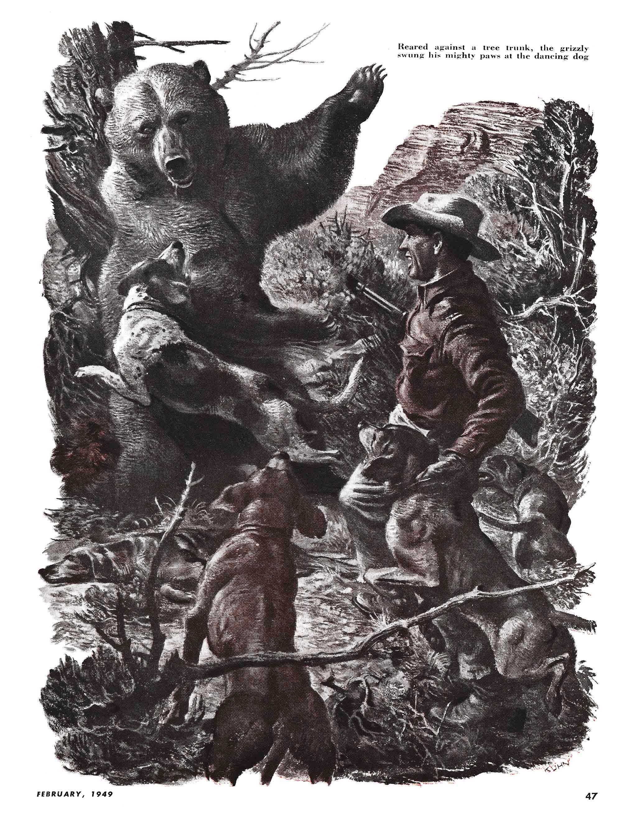 A bear swipes at a hunter and his hounds