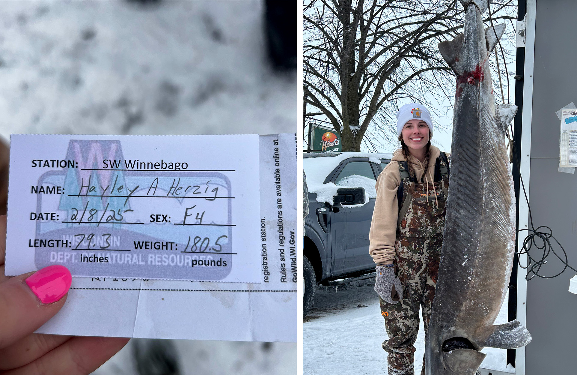 A card showing the weight and length of a big sturgeon; a Wisconsin angler stands next to a harvested lake sturegon.