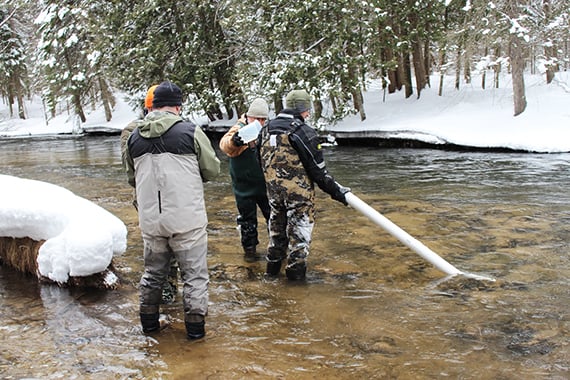 New attempt underway to boost Lake Michigan whitefish – Outdoor News