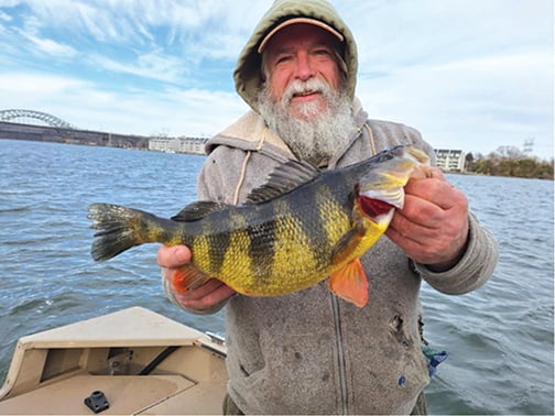 New Maryland record yellow perch caught in lower Susquehanna River – Outdoor News