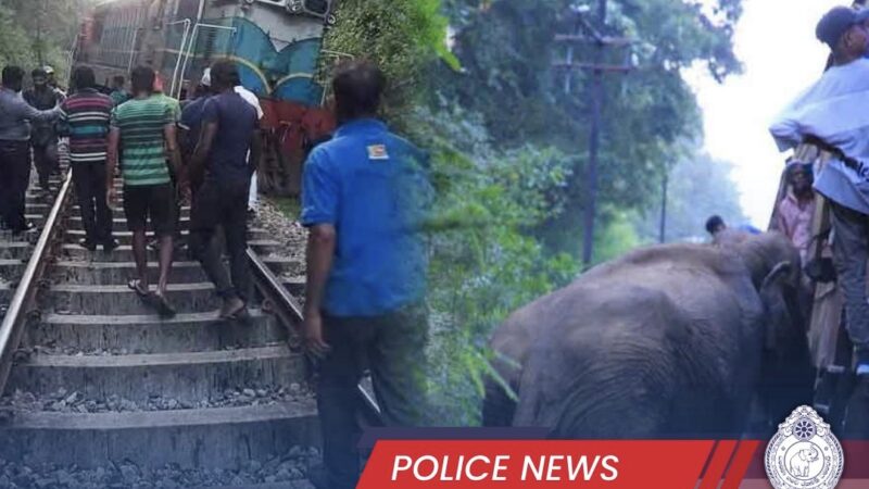 Passenger Train Collides With Herd of Wild Elephants in Sri Lanka