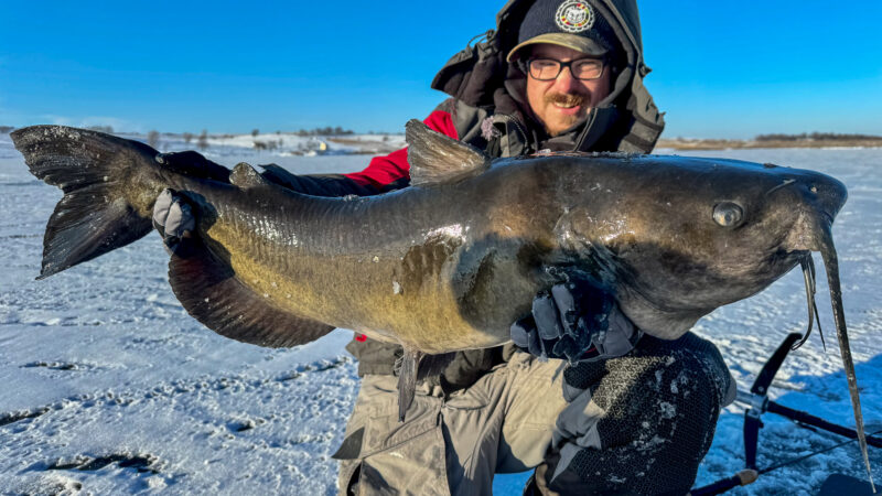 Quick Strike Podcast: How to Catch Monster Catfish Through the Ice