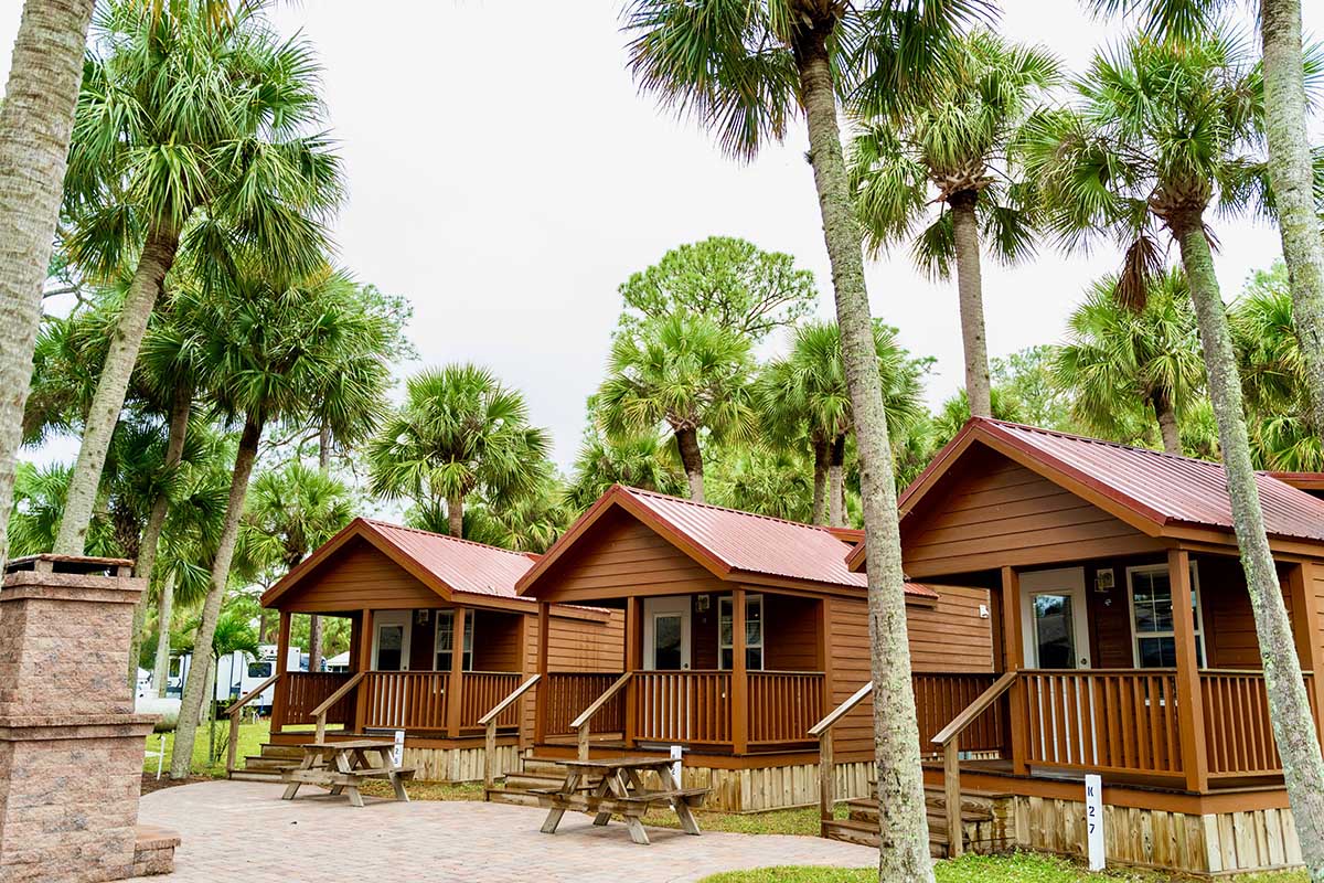 A row of camping cabins under tall palm trees.