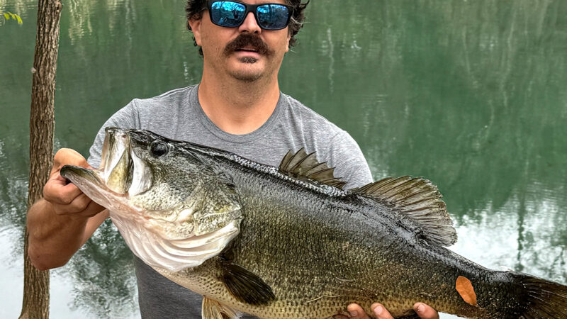 Record Largemouth Caught in Downtown Austin Is the Biggest Bass (So Far) of the 2025 Texas ShareLunker Season