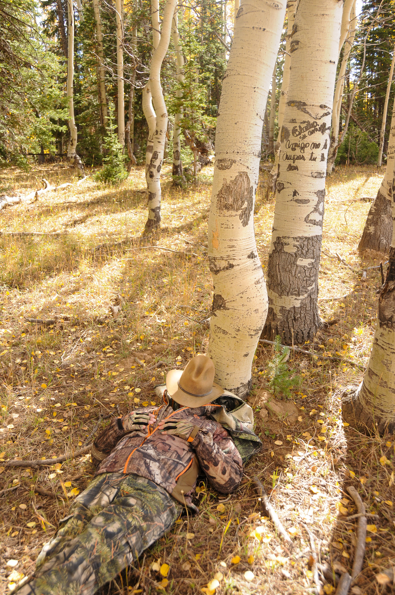 A hunter naps in the elk woods.