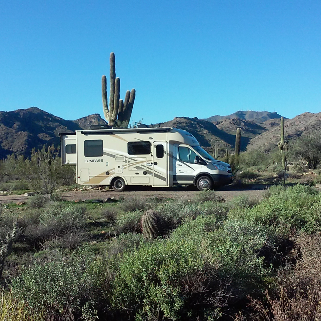 A motorhome in front of a cactus.