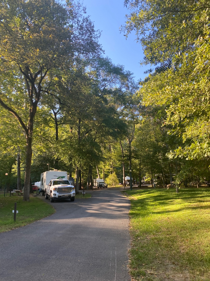 A truck and trailer in a campsite.