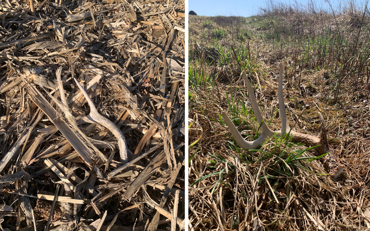 sheds found in fields