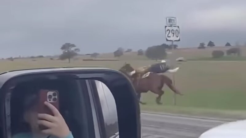 Texas Man Riding Horse at Highway Speed Whacks Into Road Sign