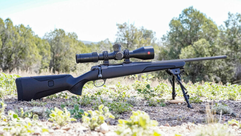 The Best .308 Hunting Rifles of 2025