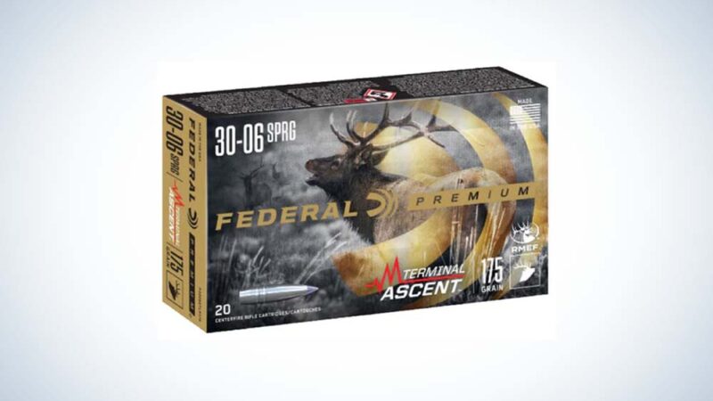 The Best Calibers for Hog Hunting of 2025