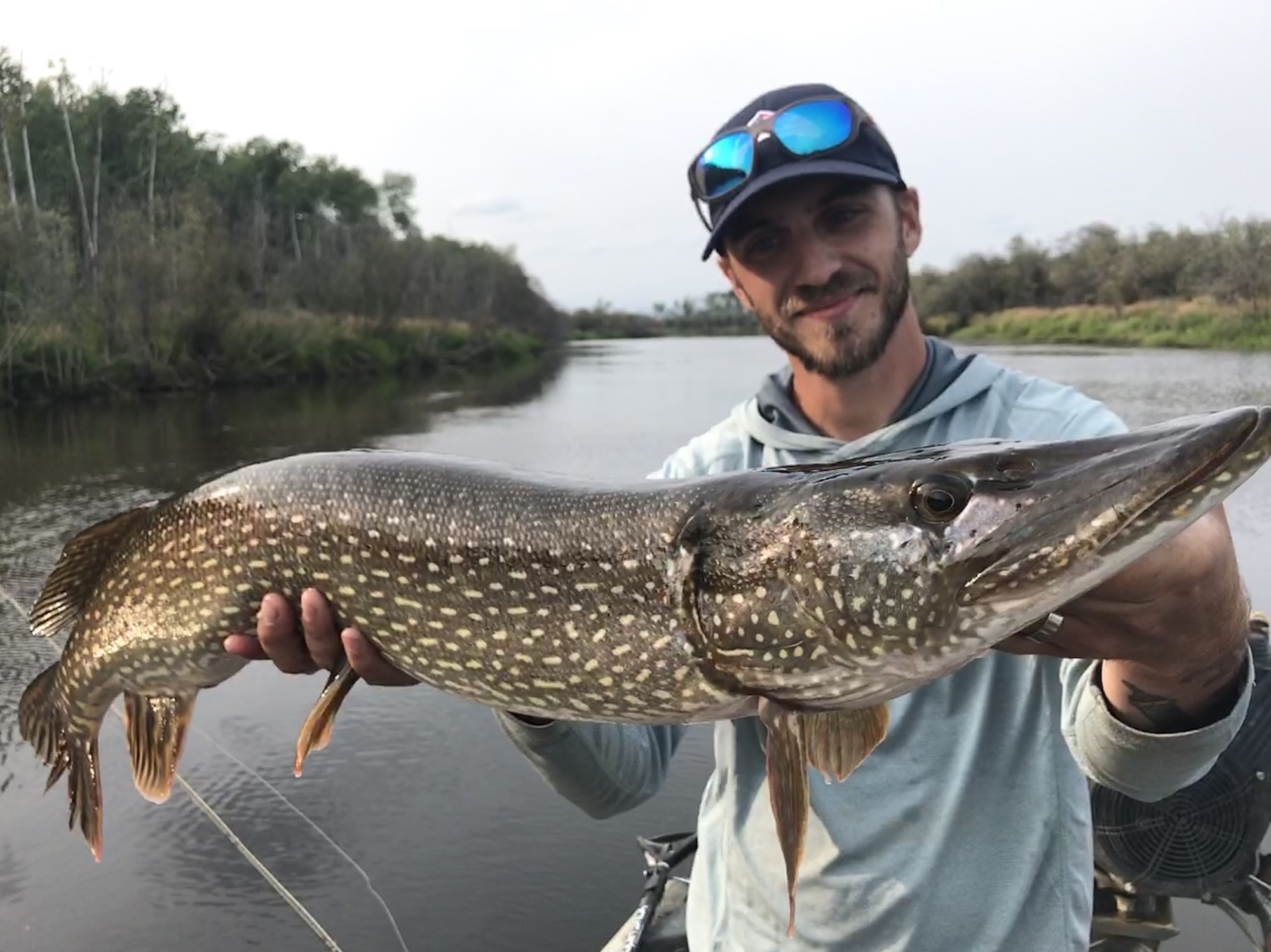 A man holds up a nice pike he caught while pike fishing on a river.