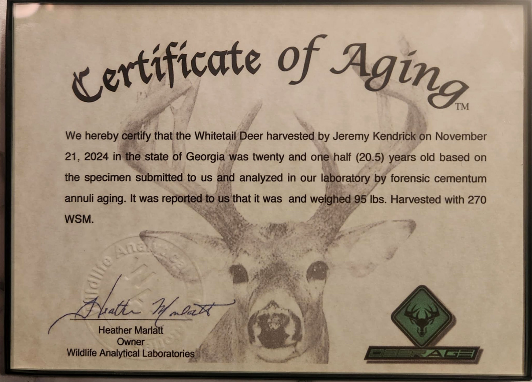 A certificate of aging for a 20-year-old Georgia doe.