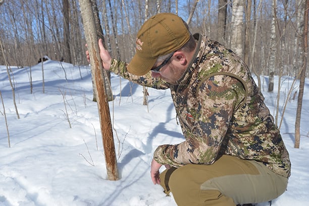 Three reasons winter is the most valuable time you can spend in the deer woods during the offseason – Outdoor News