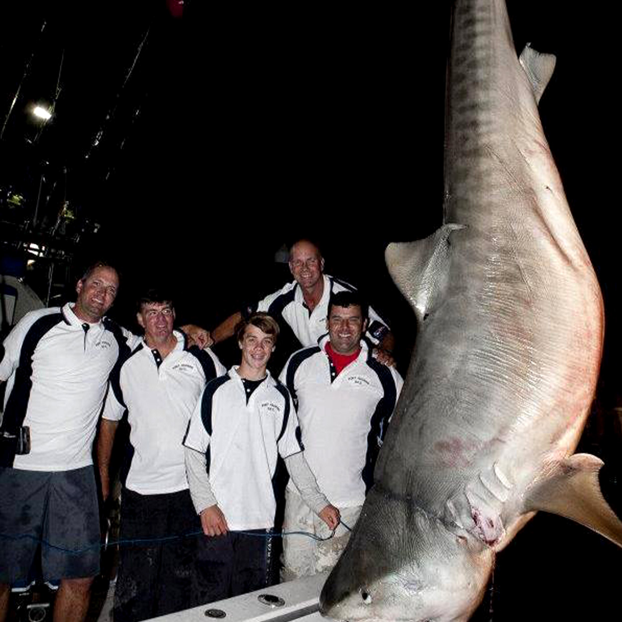 A crew of Australian anglers with a giant shark.