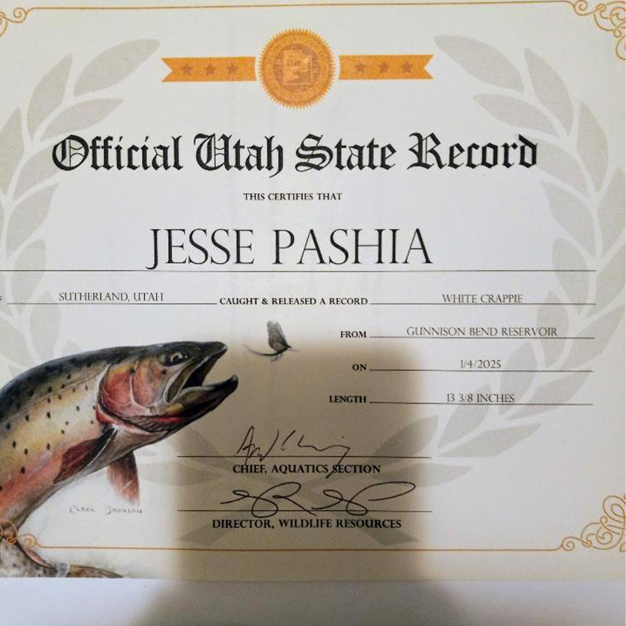 A certificate for a Utah fishing record.