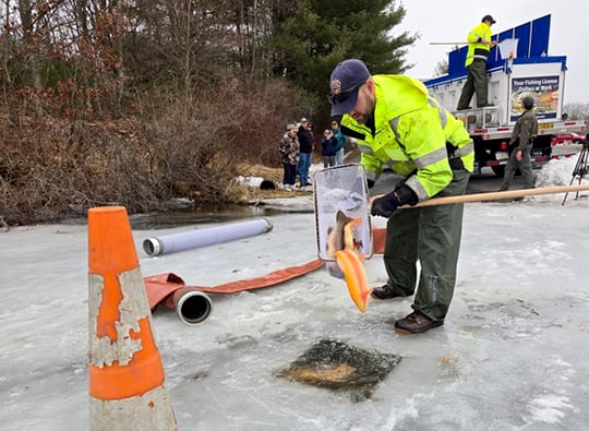 Video: 4,700 rainbows stocked in Pennsylvania’s Frances Slocum Lake – Outdoor News