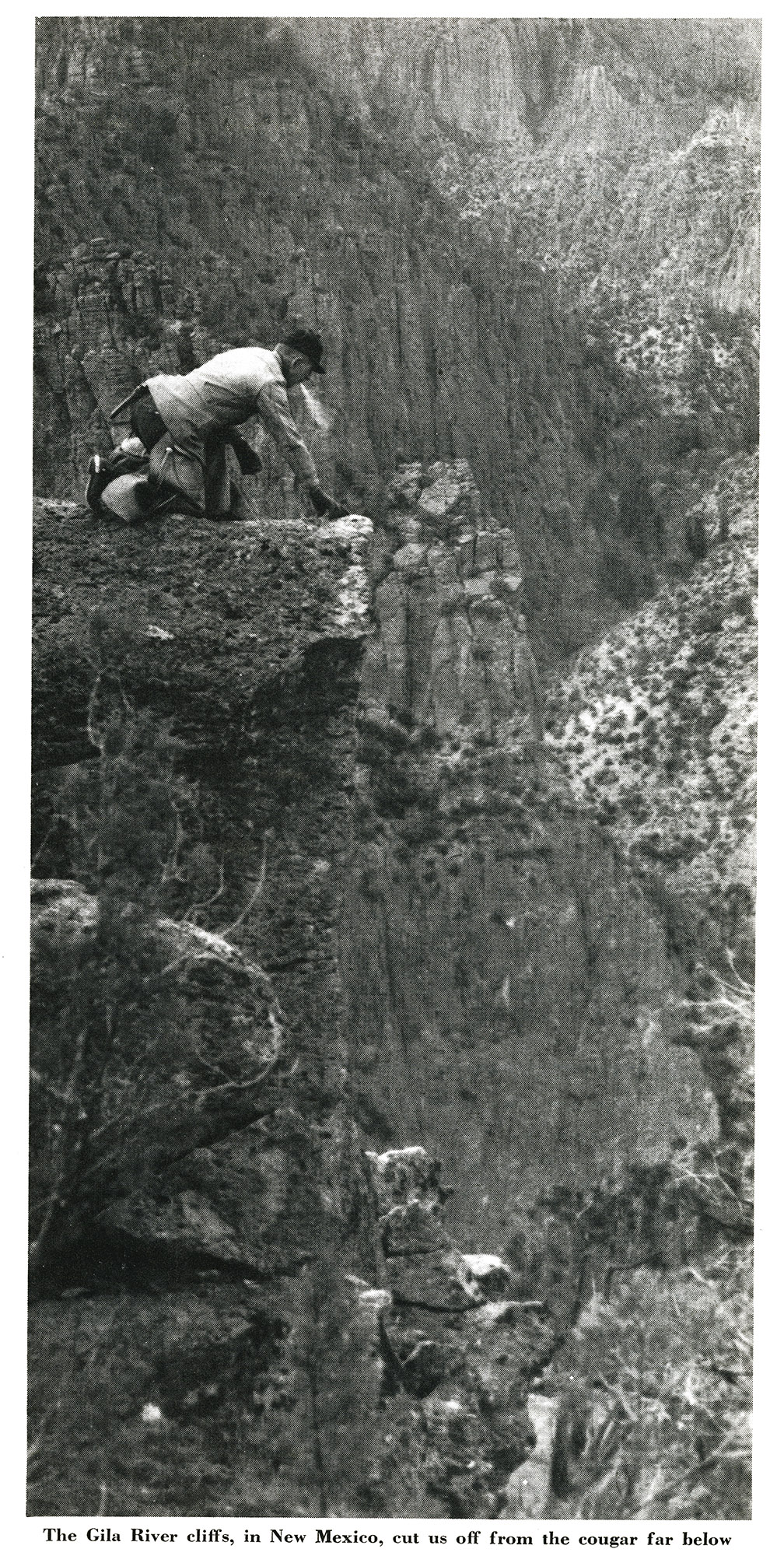 A hunter stares down a canyon cliff in an old black and white photo