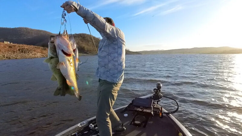 ‘What Do I Do Here?’ Watch Angler Catch 19 Pounds of Bass on a Single Cast