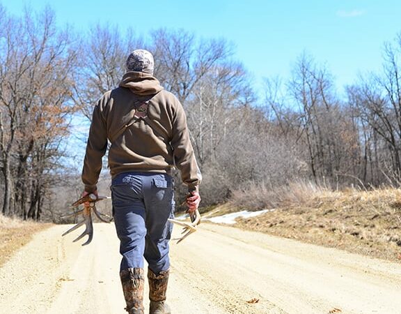 When should you begin the search for shed antlers? Here’s what to consider – Outdoor News