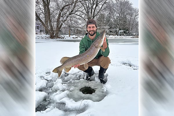 Wisconsin angler is pulling thick fish from incredibly shallow depths under the ice – Outdoor News