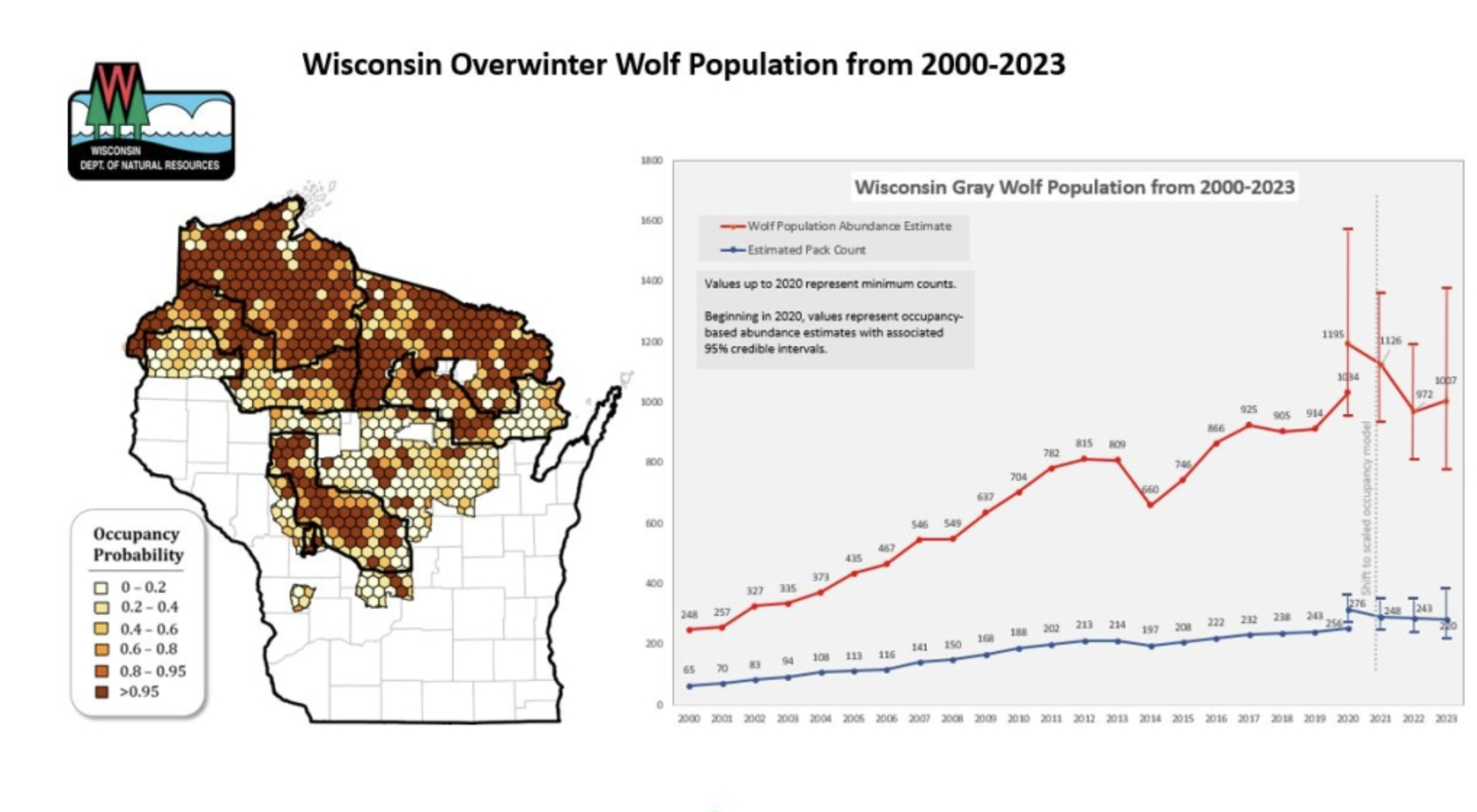 The rising population of gray wolves in Wisconsin.