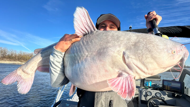 2nd Grader Catches Catfish That’s ‘Bigger Than Anything My Mom or Dad Ever Caught’