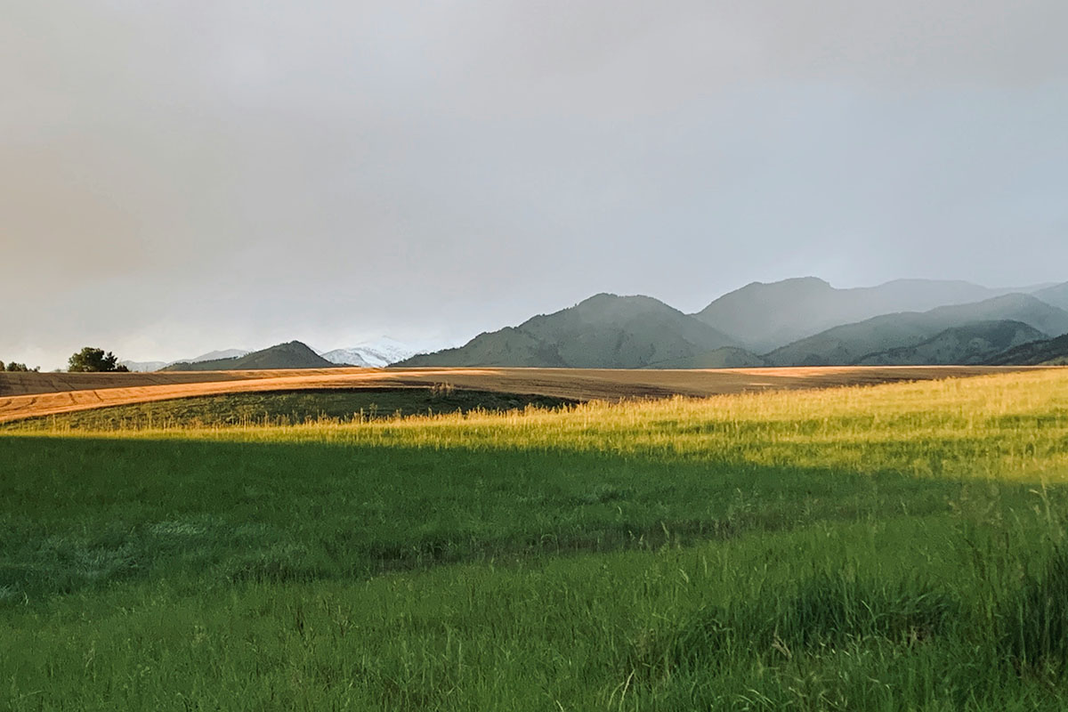 Vast grasslands framed by low mountains on the horizon.