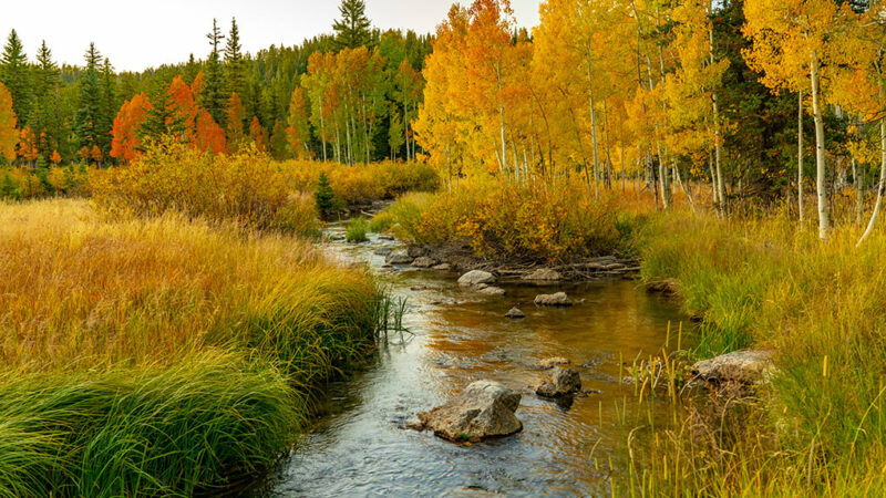 Commentary: The Nature Conservancy and its partners reach 1 million acres protected in Minnesota, Dakotas – Outdoor News