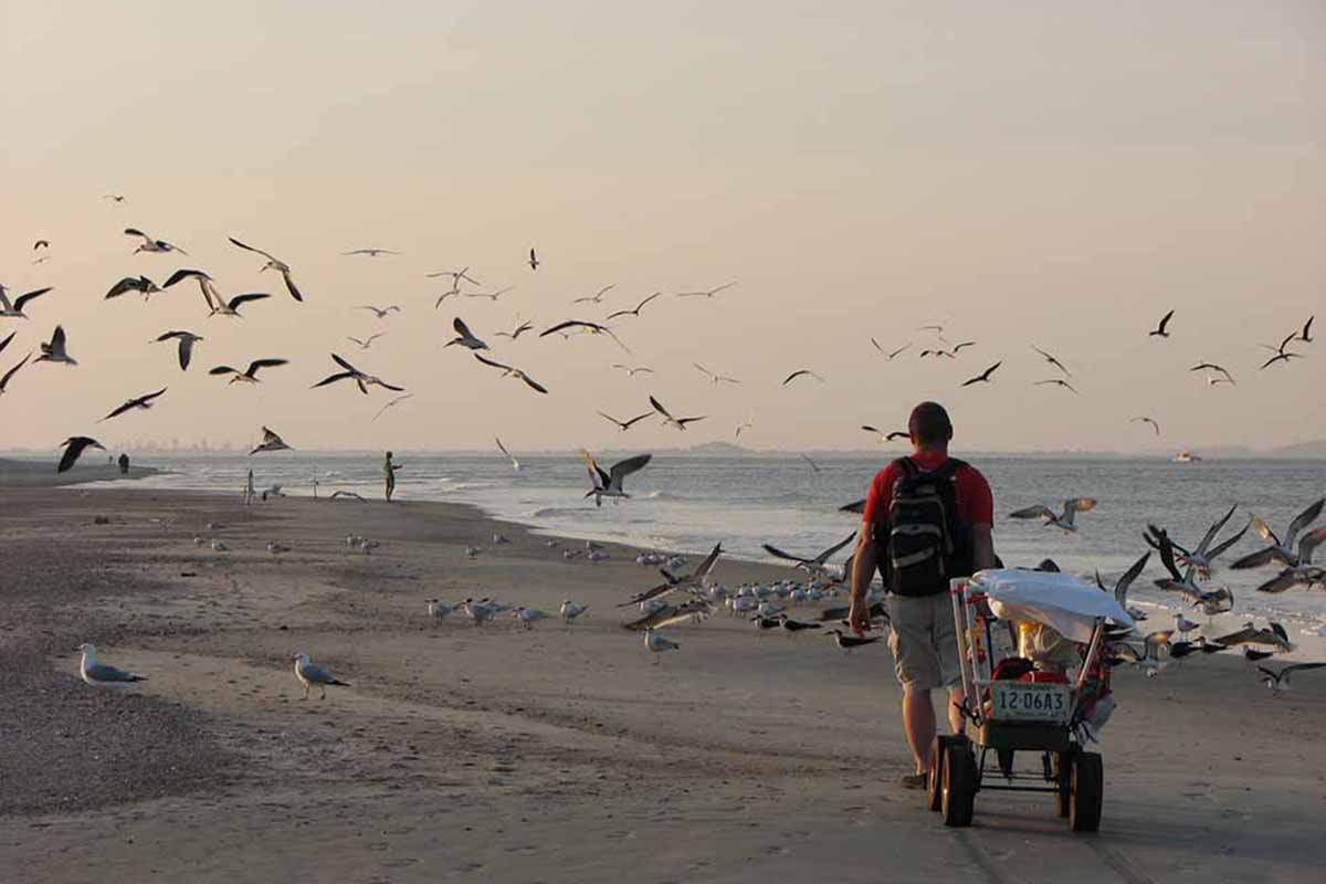 A beachcomber pulls a wagon laden with precious cargo.