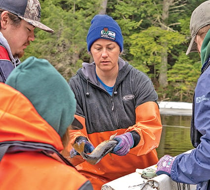 Here’s how a steady stream of data helps shape Wisconsin fisheries – Outdoor News