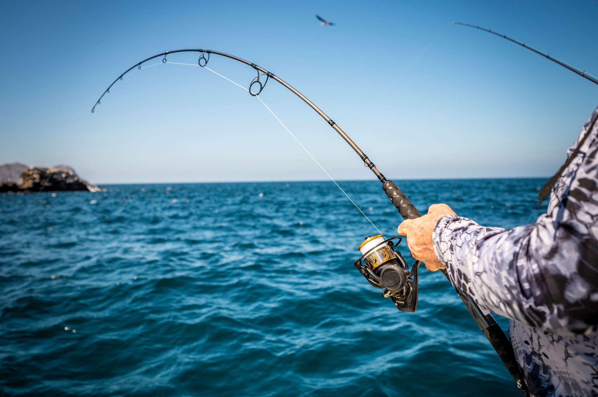 Fighting a fish on a spinning reel