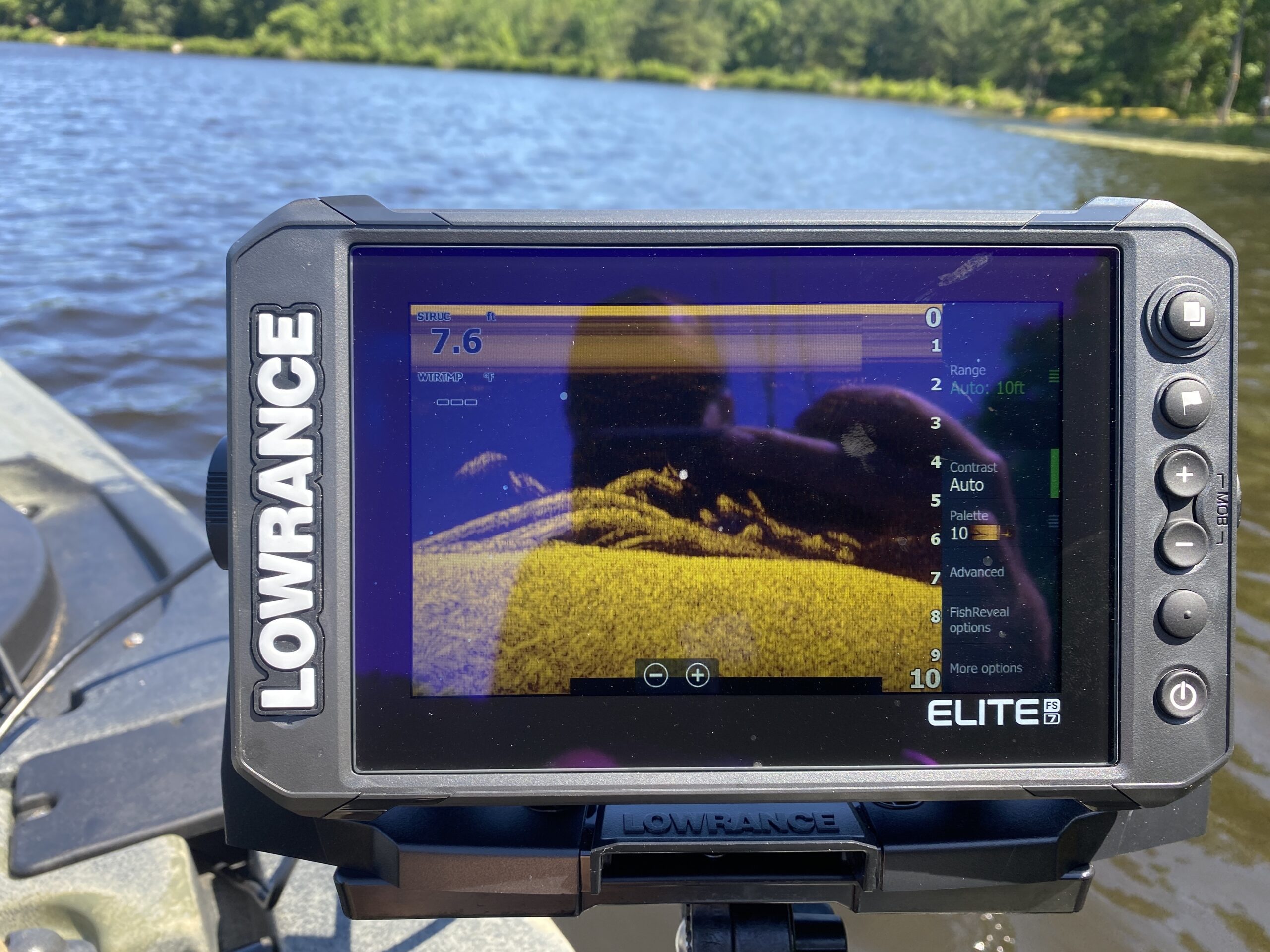 A log and fish displayed on down imaging